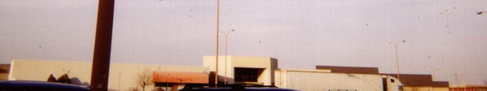 Fort Saginaw Mall - From Bob P